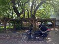 2015_05_10_so_01_073_innovatreffen_moehnesee_heimfahrt_schenklenksfeld_sommerlinde