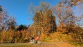 2024_11_16_sa_02_007_honda_innova_schirimobil_herbst_bei_kirchhaslach