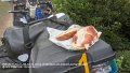2026_05_11_mo_01_156_honda_innova_versperpause_bei_busbach_wolfsgraben