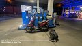 2026_08_24_mo_02_083_honda_vision_schirimobil_tanken_in_weissenhorn_tachostand_27528km