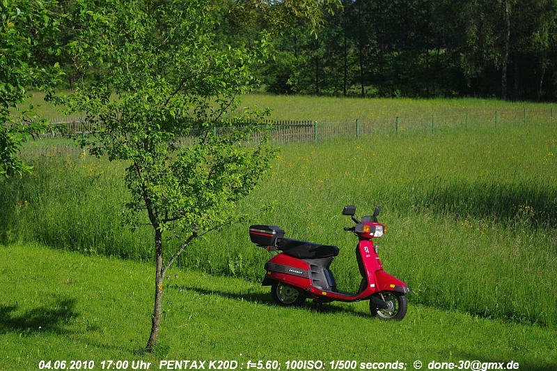 2010_06_04_fr_02_020_fotoshooting_im_garten.jpg