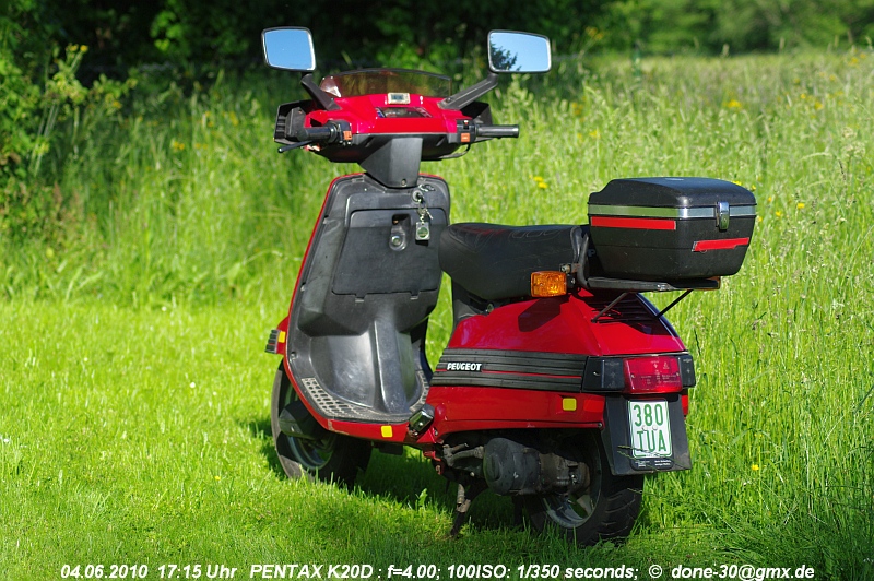 2010_06_04_fr_02_074_fotoshooting_im_garten.jpg