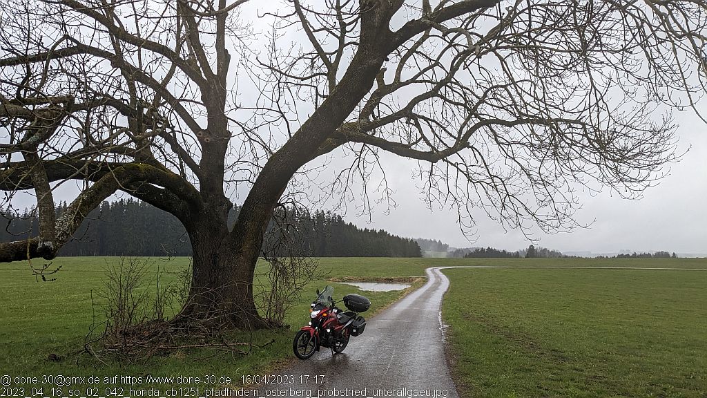 2023_04_16_so_02_042_honda_cb125f_pfadfindern_osterberg_probstried_unterallgaeu.jpg