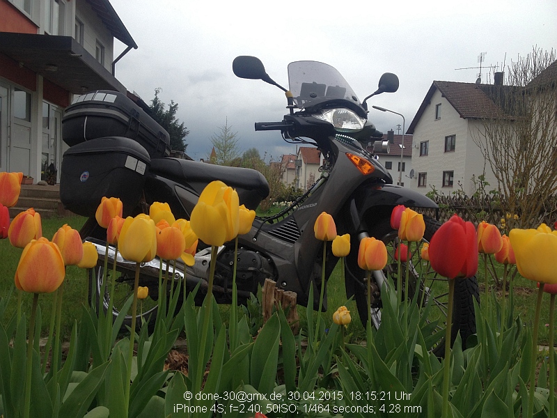 2015_04_30_do_02_007_tulpen.jpg