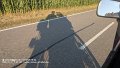 2025_07_11_fr_01_027_honda_innova_schatten