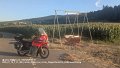 2025_07_18_fr_01_080_honda_innova_bei_Urnau_Deggenhausertal_Bodenseekreis